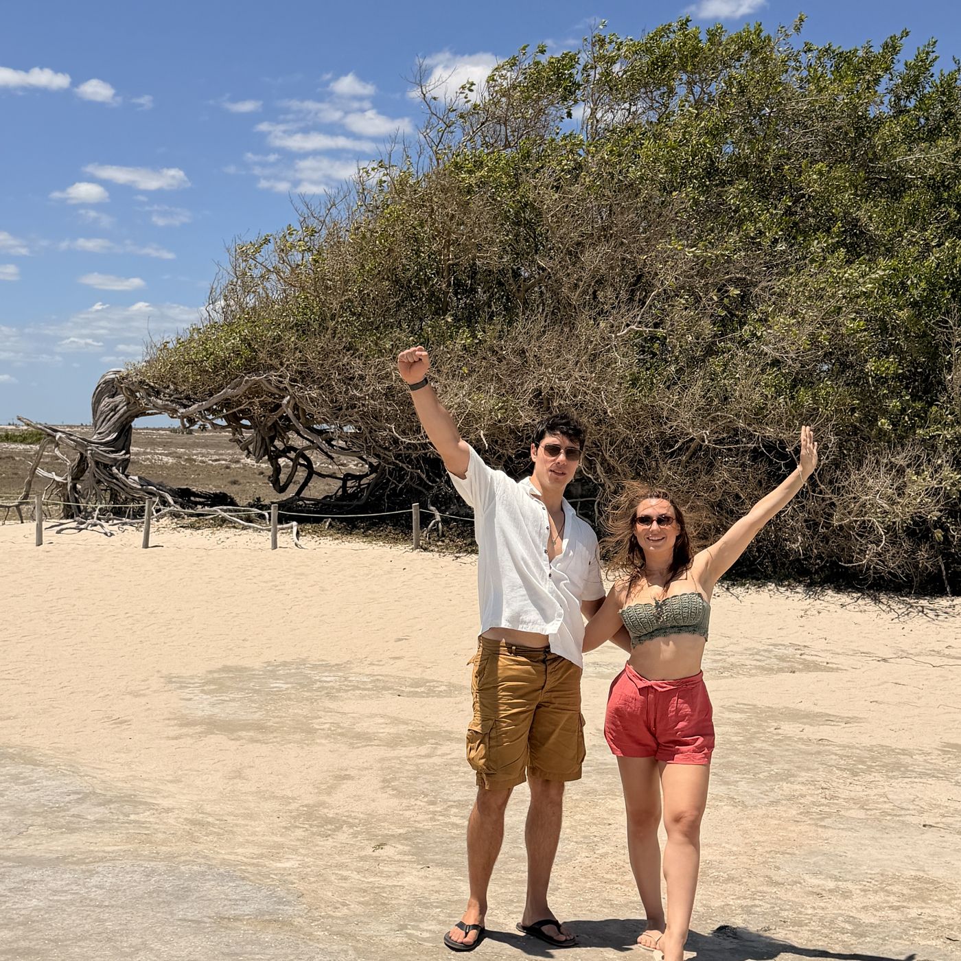 Lidiane Grigoletto em frente à Árvore da Preguiça, a árvore deitada pelo vento no caminho entre o Preá e Jericoacoara